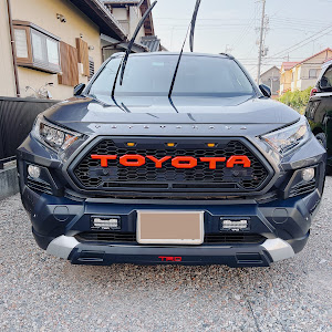 RAV4 MXAA54