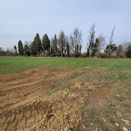 terrain à Saint-Martin-de-Crau (13)