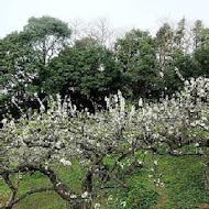 雲洞山莊