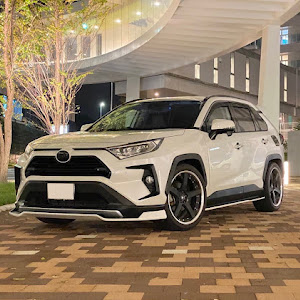 RAV4 MXAA54