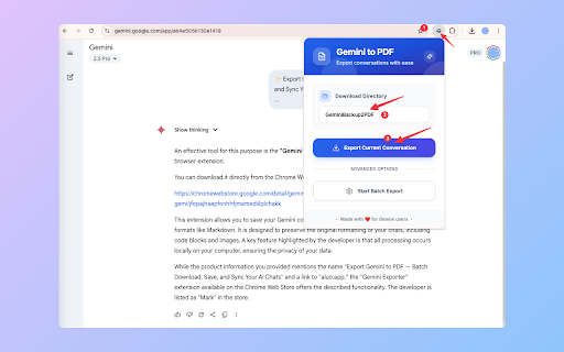 Gemini to PDF - Batch Export