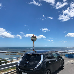 リーフ AZE0