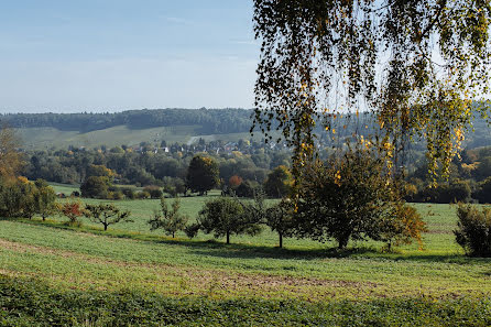 Fotograf ślubny Dimitri Frasch (dimitrifrasch). Zdjęcie z 4 marca 2018