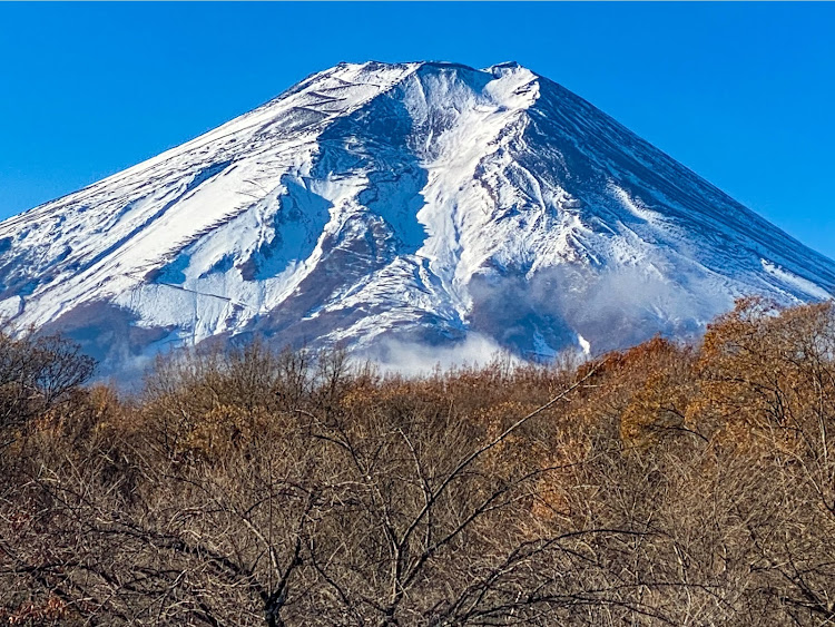 の投稿画像3枚目