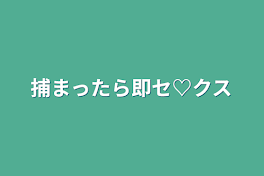 捕まったら即セ♡クス