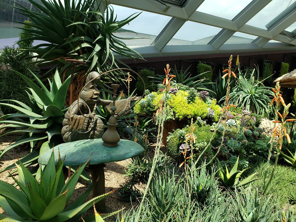 Guide to Visiting Gardens by the Bay, Singapore: Aloes in Wonderland in the Flower Dome attraction