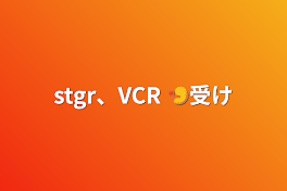 stgr、VCR  🍤受け