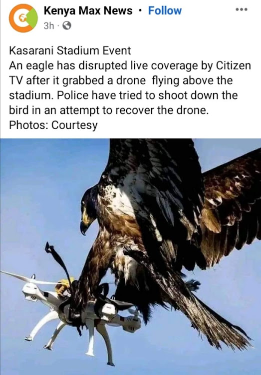 fool concert locate Reports of eagle grabbing drone at Raila's Kasarani rally fake