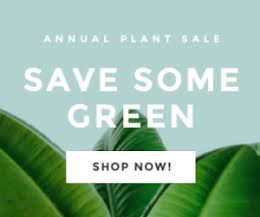 Save Some Greeen - Medium Rectangle Ad item