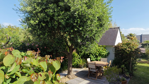 Contemporary house with garden 3