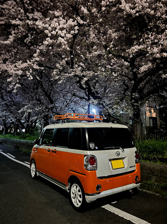 ムーヴキャンバスの夜桜お七🌸・満開の桜の下で・朝活🌸・オフ会のお土産に🍊・シマエナガ🐦に関するカスタム事例の投稿画像3枚目