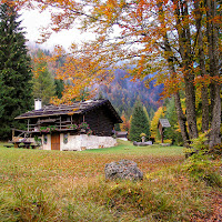 Magia d'autunno. di 