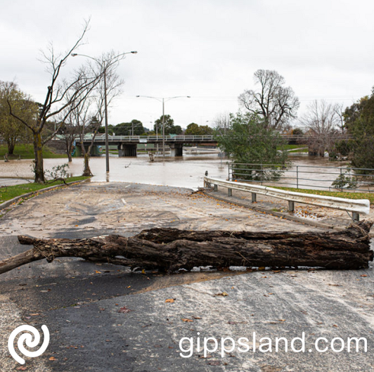 The flooding in Latrobe was part of a state-wide catastrophe that claimed three lives and caused millions of dollars of damage to property and infrastructure