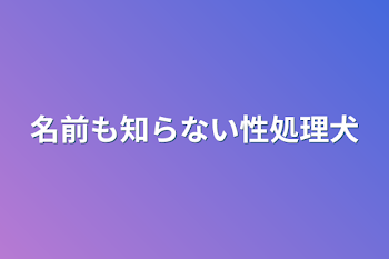 名前も知らない性処理犬