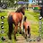 Wild Horse Family Simulator 3D icon