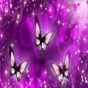 Purple Butterflies Chrome extension download