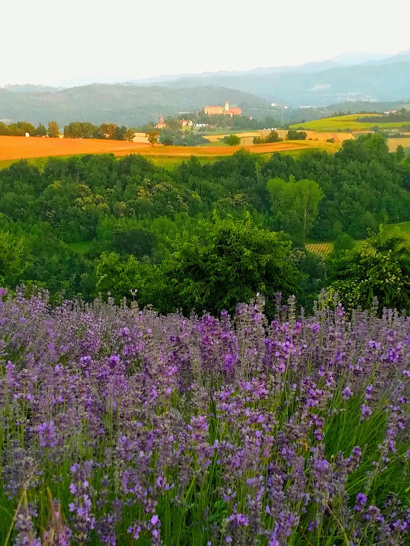 Sale San Giovanni  di Robyvf