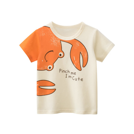 9819 Rice Apricot