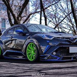 C-HR ZYX10