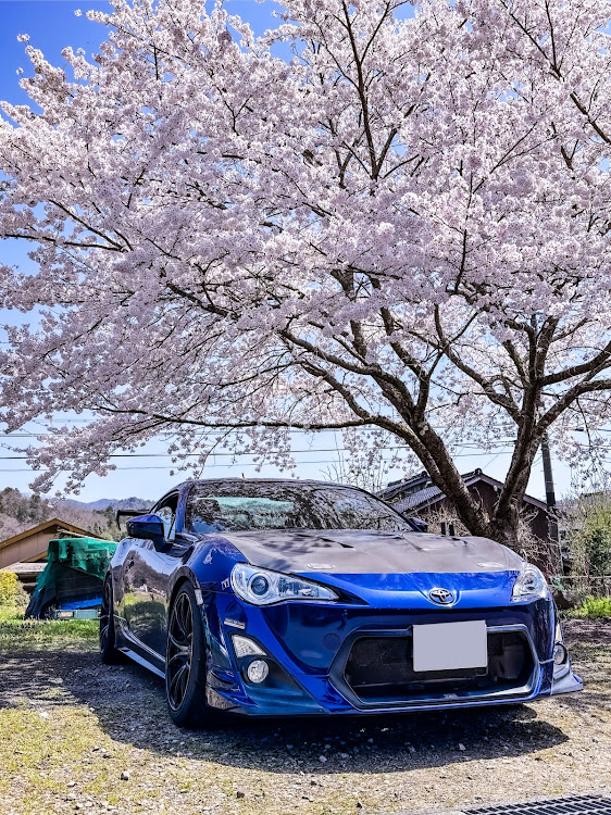 86の86・BRZ・桜と愛車に関するカスタム事例の投稿画像1枚目