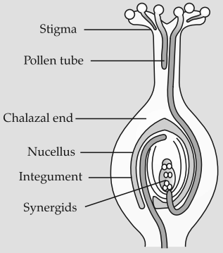 Solution Image