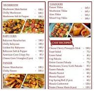 The Chennai Restaurant menu 5