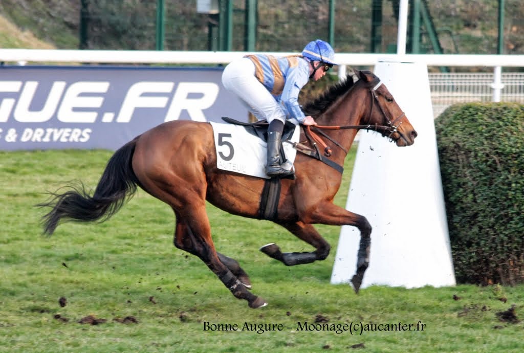 Photos Auteuil 14-03-2015 IYg7uHKeTXOFqSUD87msdxnSvfKKjnt7gdpTFkYXlB5C=w1024-h690-no