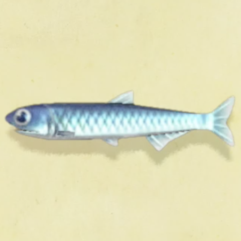 あつ森 ジャスティンの出現条件と魚の買取値段 あつまれどうぶつの森攻略wiki 神ゲー攻略