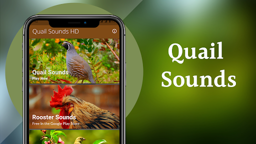 Screenshot Quail Sounds & Calls