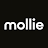 Mollie icon