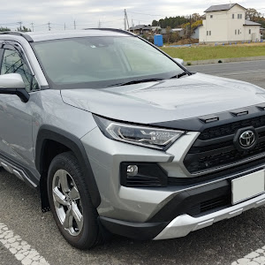 RAV4 AXAH54