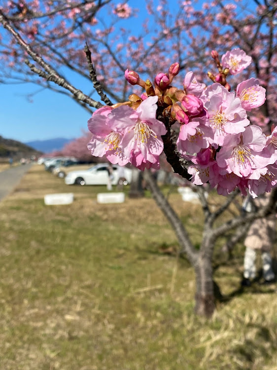 の投稿画像4枚目