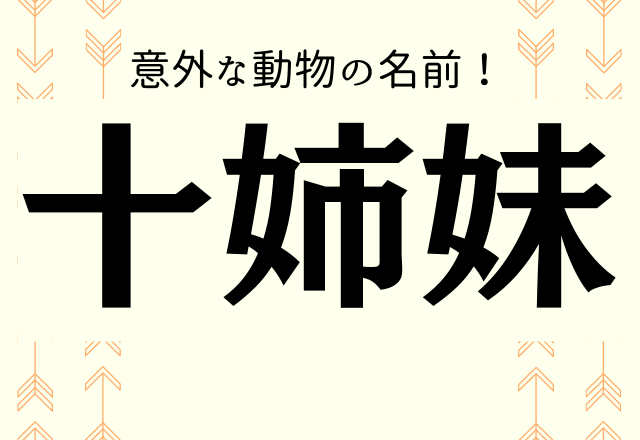 十姉妹 これ何と読む 意外な動物の名前 Trill トリル