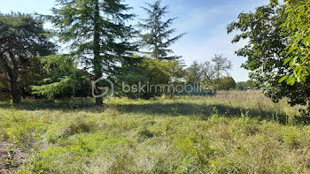 terrain à Saint-Georges-sur-Cher (41)