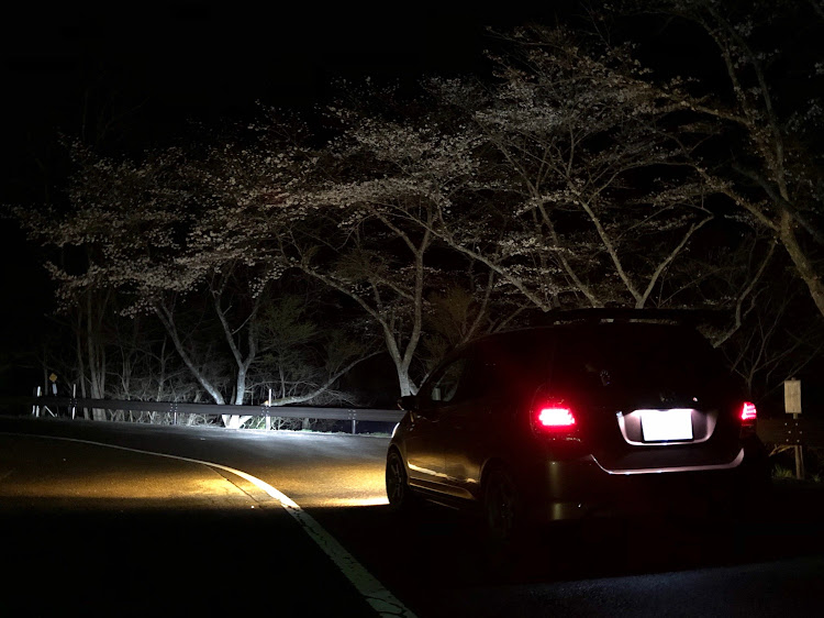 フィットの初投稿・夜桜・満開・仕事終わり・峠に関するカスタム事例の投稿画像1枚目