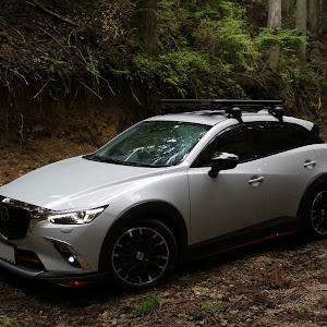 CX-3 DK5FW