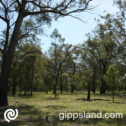 Visit Sandhill Road Flora and Fauna Reserve whenever you want, walk through the revegetated areas, listening to the bird song and watching the native grasses move in the breeze