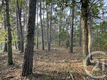 terrain à batir à Arbonne-la-Forêt (77)