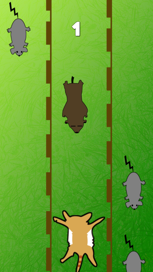 Wild cat racer Screen 2