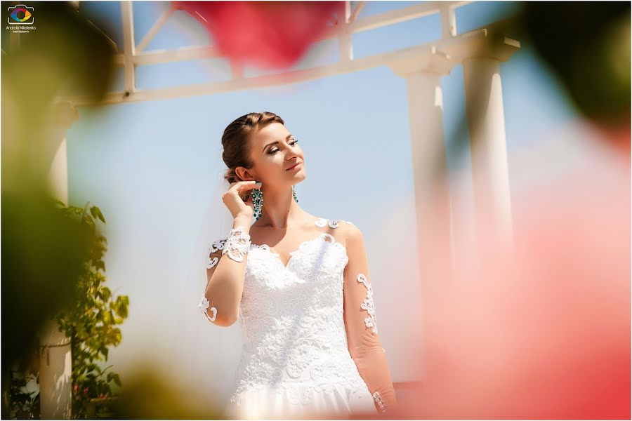 Fotografo di matrimoni Anatoliy Nikolenko (nikolenko). Foto del 4 agosto 2016