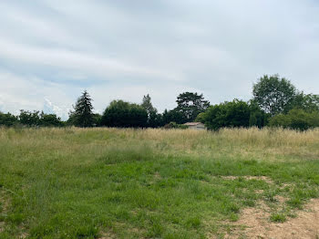 maison neuve à Marssac-sur-Tarn (81)