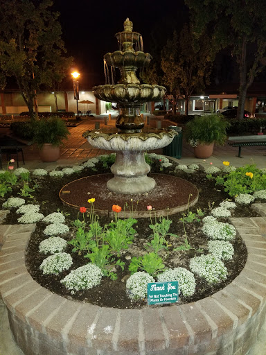 Starbucks Fountain 