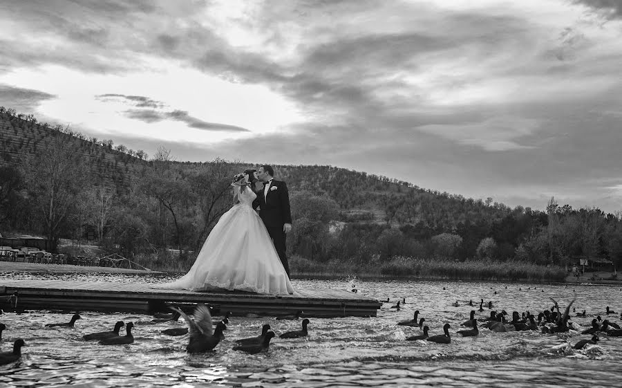 Wedding photographer Tan Karakoç (ilkay). Photo of 7 September 2017