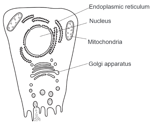 Solution Image