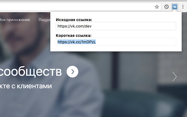 Сокращатель vk.cc
