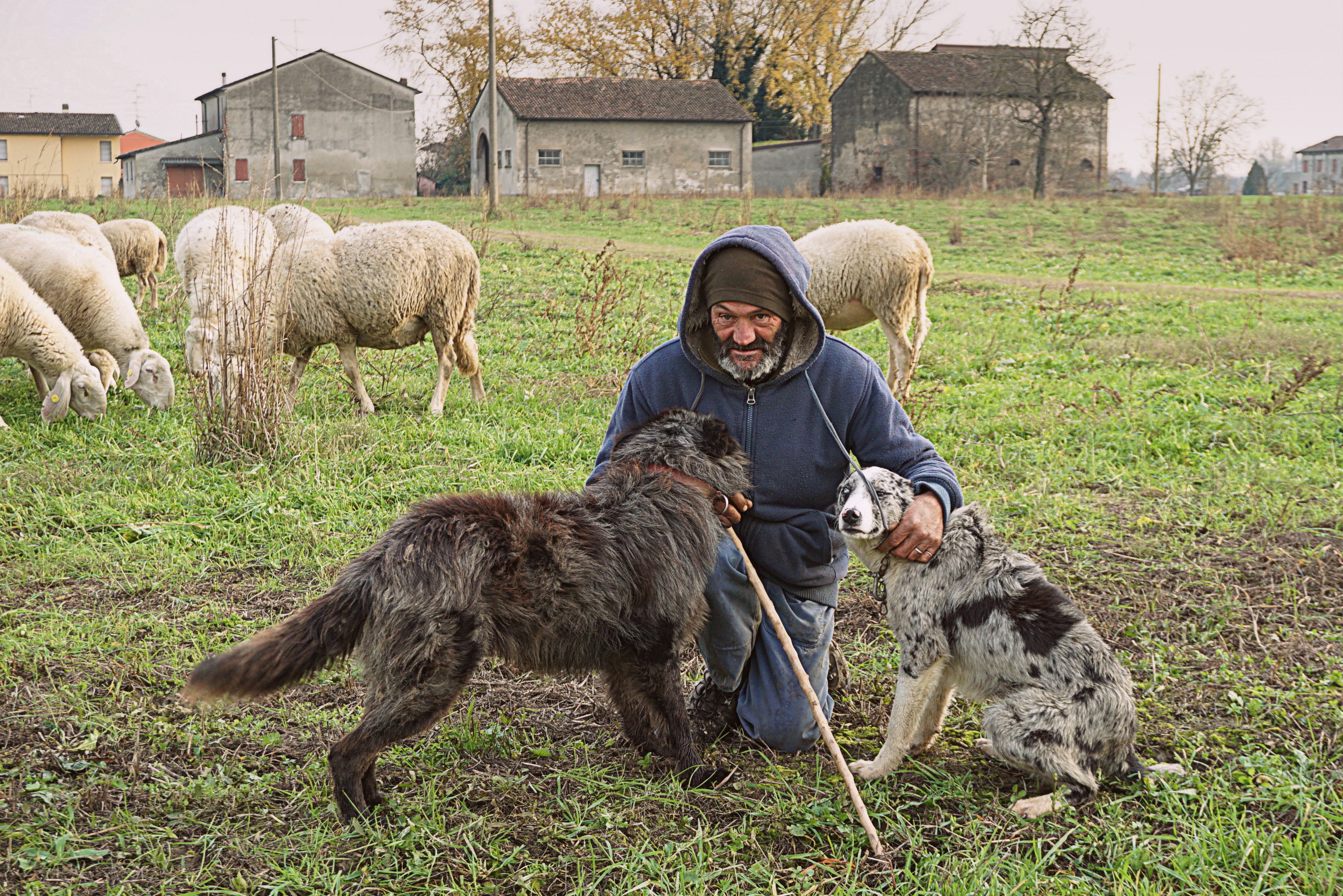 Antonio il pastore di Furlissima