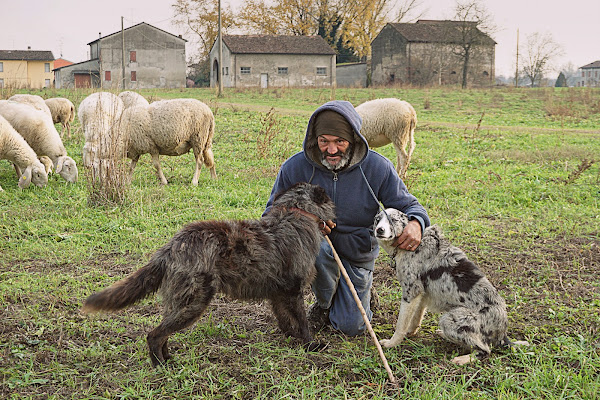 Antonio il pastore di Furlissima