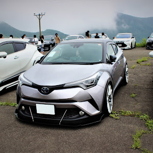 C-HR ZYX10