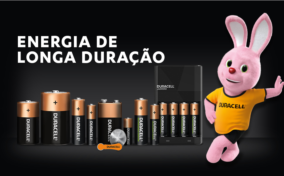 Pilha Alcalina AA Duracell com 2 Unidades - Central Cabos Mobile