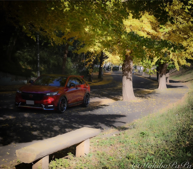 ヴェゼルの千葉紅蓮隊・箱根ターンパイクお疲れ様でした。・goodgroove・あな写に関するカスタム事例の投稿画像5枚目